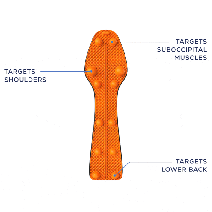 360-degree rotation of the Trigger Point Rocker, showcasing various key features for effective muscle tension relief and trigger point targeting.